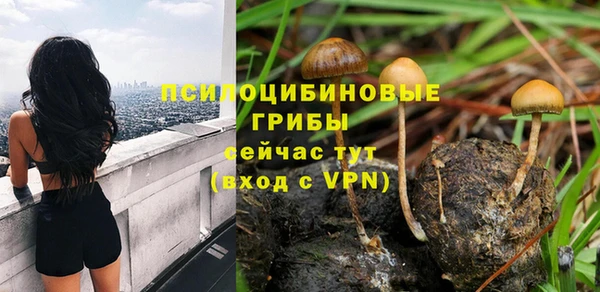гидра Абинск