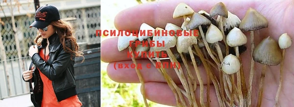 крисы Абдулино